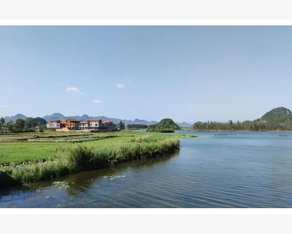 儿童脾胃不和：常见症状与调理技巧